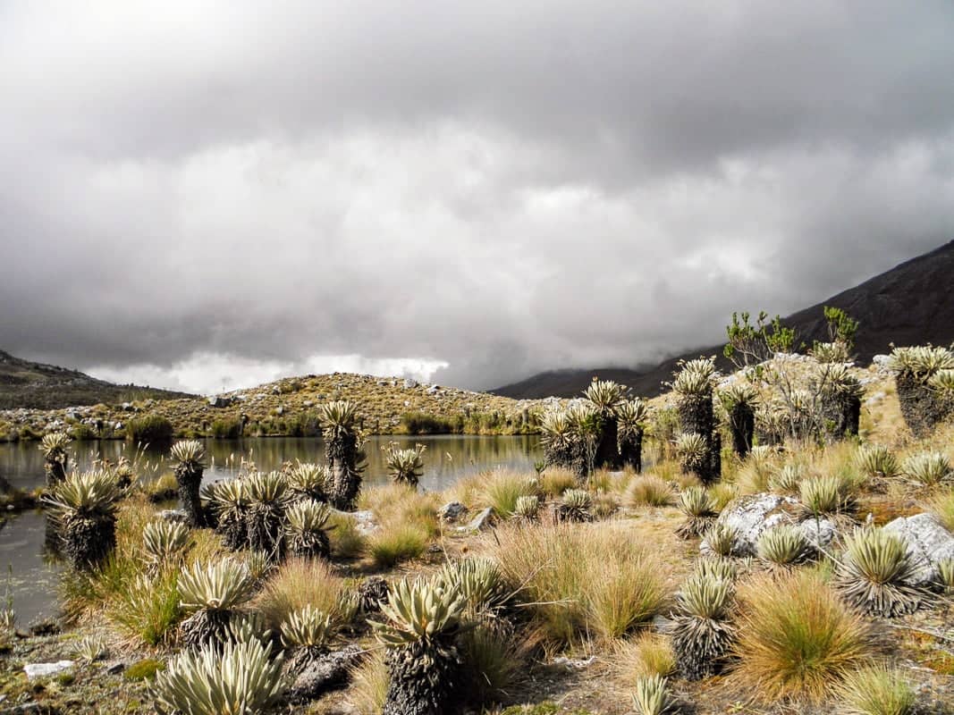 El Cocuy National Park travel guide: some of the most beautiful treks in Colombia